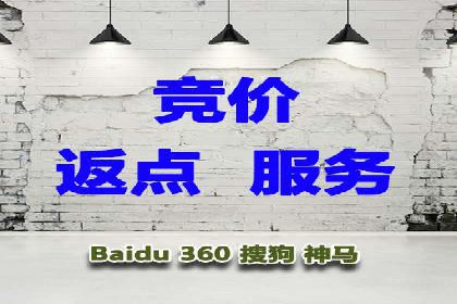 百度竞价排名服务：成功案例解析与优化策略